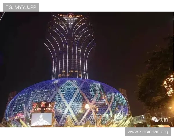 澳门新葡京真人手机版登录流程与账号安全保护措施详解